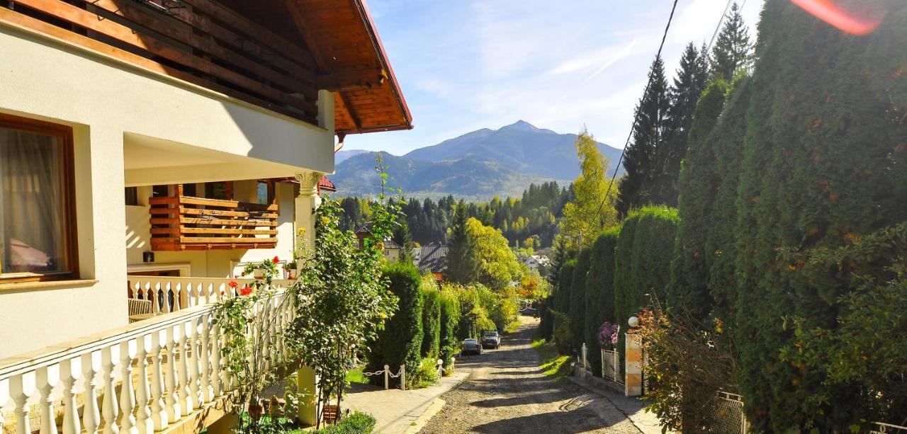 Pensiunea Eladi Borşa Exterior foto
