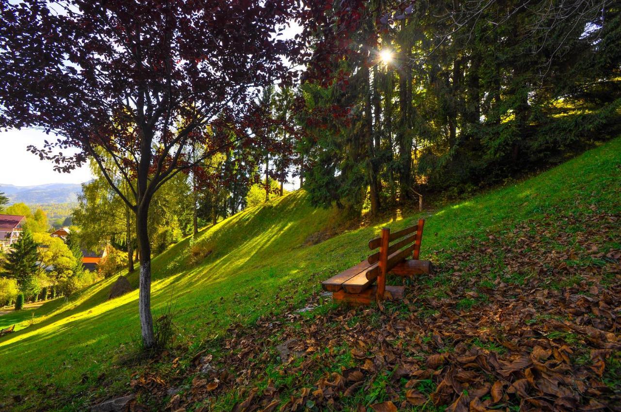 Pensiunea Eladi Borşa Exterior foto