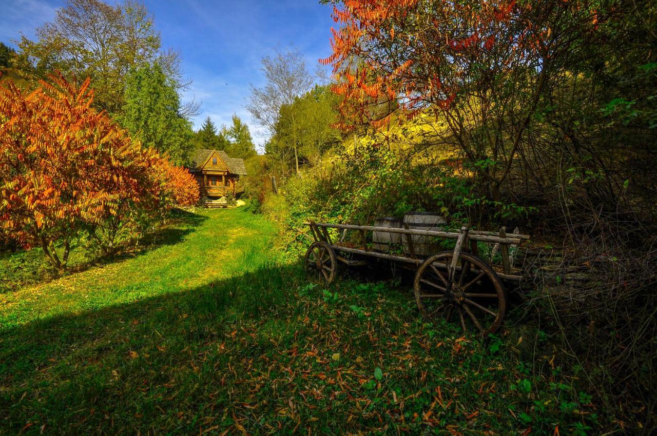 Pensiunea Eladi Borşa Exterior foto