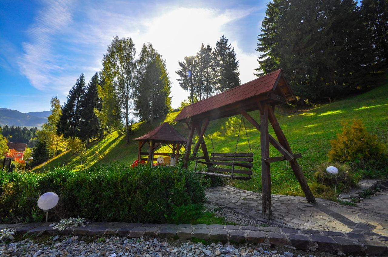 Pensiunea Eladi Borşa Exterior foto