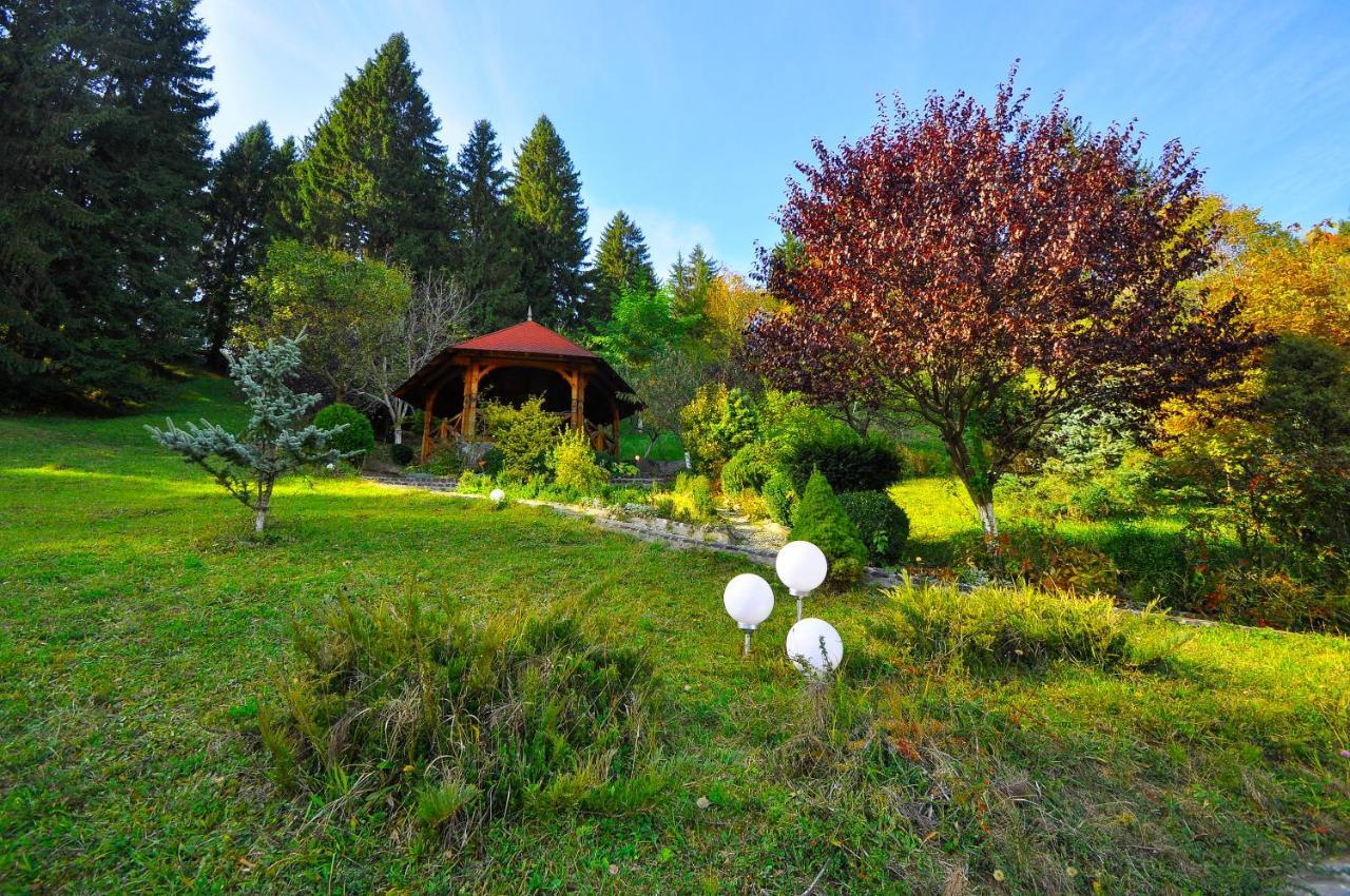 Pensiunea Eladi Borşa Exterior foto